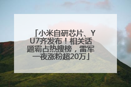 小米自研芯片、YU7齐发布！相关话题霸占热搜榜，雷军一夜涨粉超20万